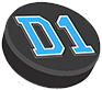 D1 Backyard Rinks logo